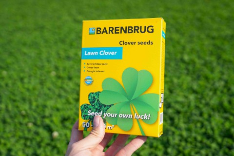 Lawn Clover 10.jpg